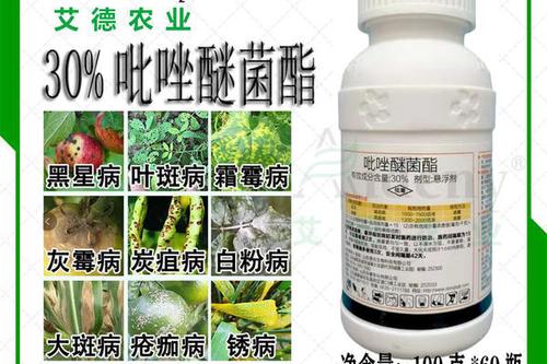 0/瓶 吡唑醚菌酯果树蔬菜炭疽病褐斑霜霉病白粉病醚茵酯专用杀菌剂