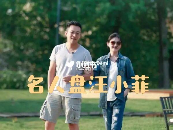 名人盘汪小菲解读分析