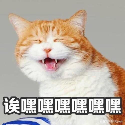 儿子当"妈"后,我终于"解放"了