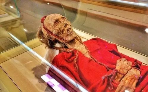 《新疆古代干尸》展馆集中展示了新疆出土的干尸,非常有名的楼兰美女