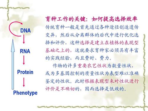 16-分子标记辅助育种ppt