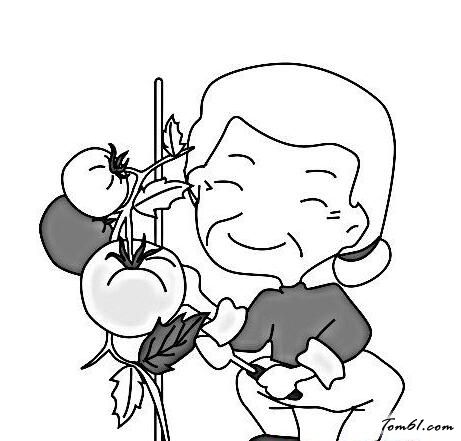 儿童种菜的简笔画