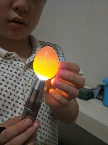 我让妈妈问客服,客服问我七天的时候有没有照蛋,我懵了,一直用电筒照