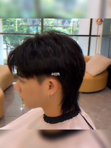 狼尾发型_发型_男士发型_男士发型参考_时尚_发型