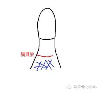 大拇指简笔画步骤图解分享