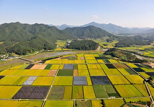 中国农村市场广阔?苹果说他们很看好
