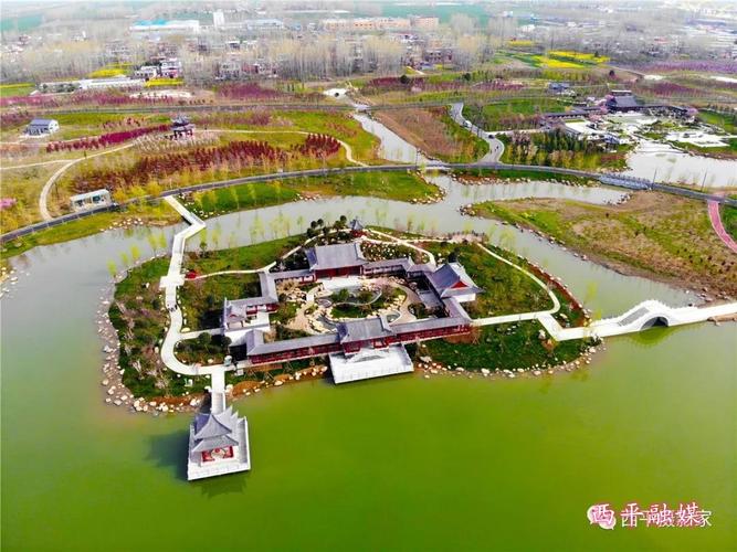 西平嫘祖海棠园 花开迎佳宾
