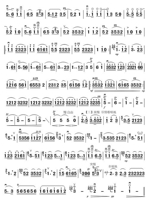 二胡独奏曲水乡小唱