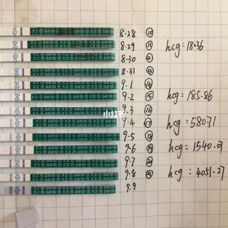 早孕试纸颜色和hcg数值_hcg_nain怎么样_母婴_孕产经验