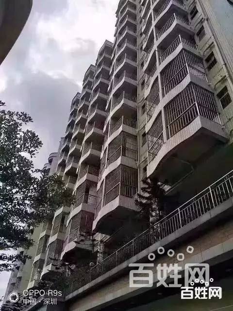 观澜大水坑村委房 中心花园 3栋花园19.6万一套