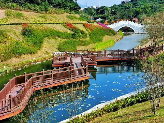 其它 《凤凰山下的簕杜鹃谷 》 写美篇   簕杜鹃谷公园位于宝安区航城