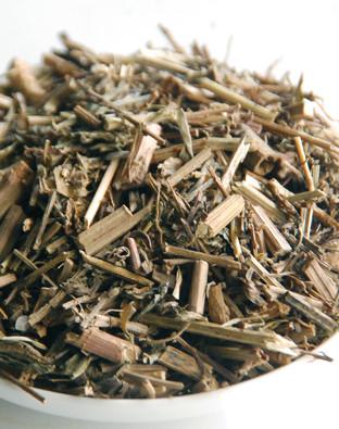 中药狗咬草图片功效