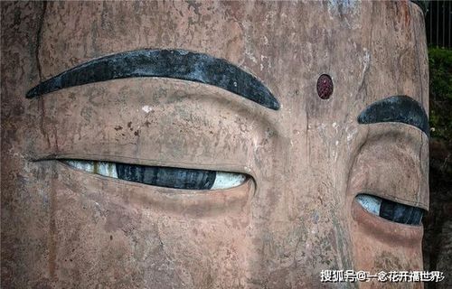 乐山大佛神秘的"闭眼"是灵性的展现还是自然现象?