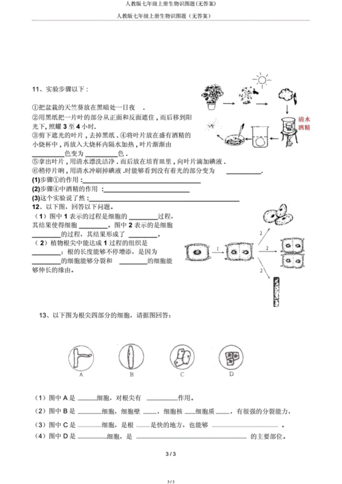 人教版七年级上册生物识图题(无).docx 3页