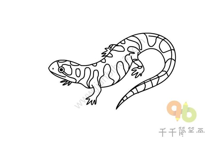 动物简笔画 儿童画蝾螈的简笔画 蝾螈[róng yuán],像其他两栖动物一