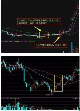 出现蚂蚁上树形态坚决捂股
