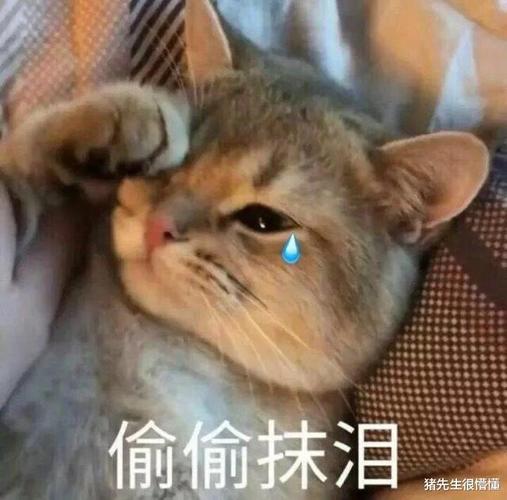 "你曾经有过哪里委屈到想哭的瞬间?"网友留言看着都心疼呀!