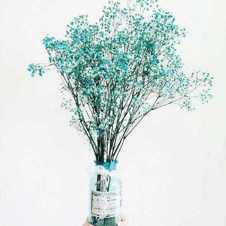 登高望远,峰开云清