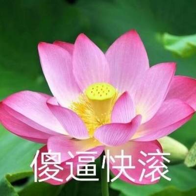 花带字微信头像图片