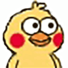 萌翻天的小黄鸡,原来不是鸡而是鹦鹉,可爱表情包收藏起来