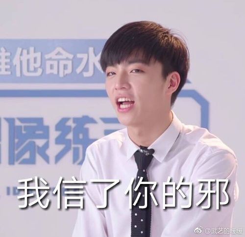 陈立农应援色投票