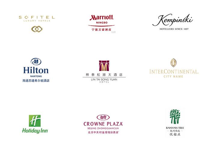 林泰松原大酒店logo设计