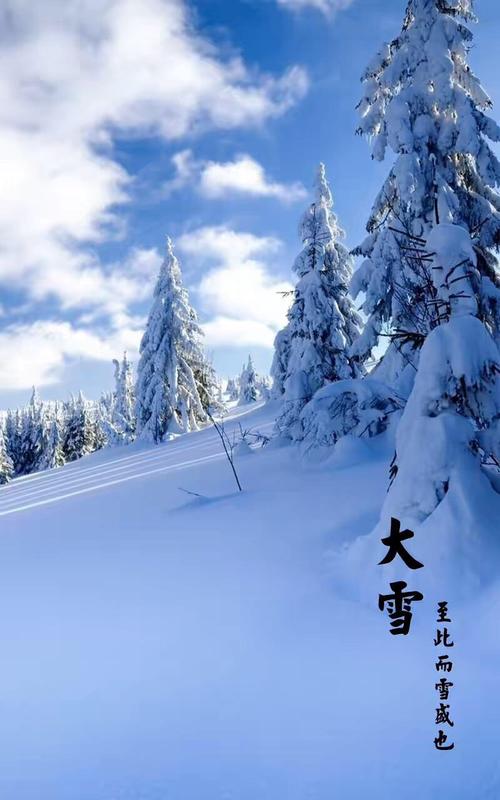 二十四节气之～大雪 - 美篇