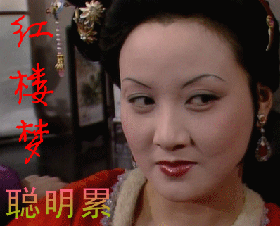 聪明累作品概况的介绍