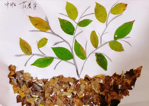 中班亲子手工制作:树叶粘贴画