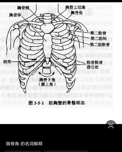 是你,胸骨角! 模拟考场,体格检查,17指出胸骨角等体表位置 baidu.