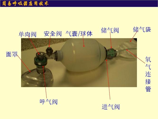 简易呼吸器应用技术 单向阀 面罩 安全阀 气囊/球体 储气阀 储气袋 氧