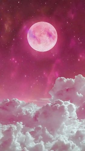 星空壁纸【网图侵删】 - 堆糖,美图壁纸兴趣社区