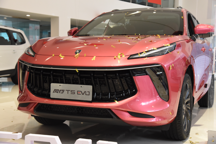 作为潮牌suv开创者,本次上市的风行t5 evo推出铂金版,钻石版,星耀版