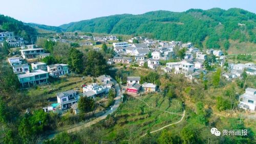 【江河颂·乌江之变】海雀村:秃山变茂林,绿水青山生金银
