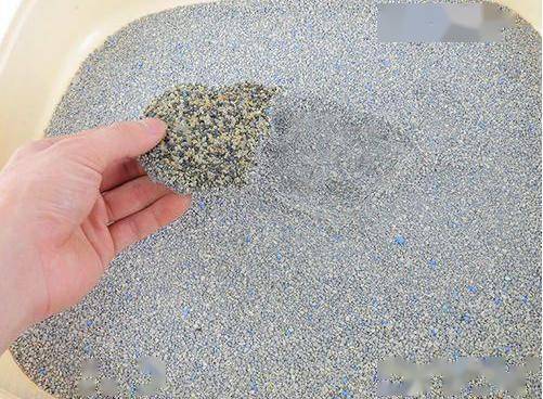 更换猫砂讲究多,主人做不好的话,问题是很大的