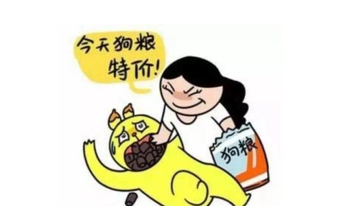 入冬的第一碗狗粮表情包高清版