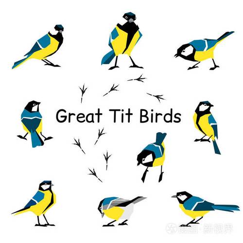 大山雀.在白色背景下被隔离的扁平样式中的羽毛