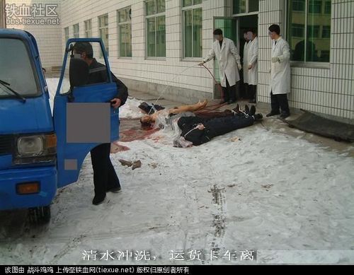 神秘的死刑——现代死刑解密实录
