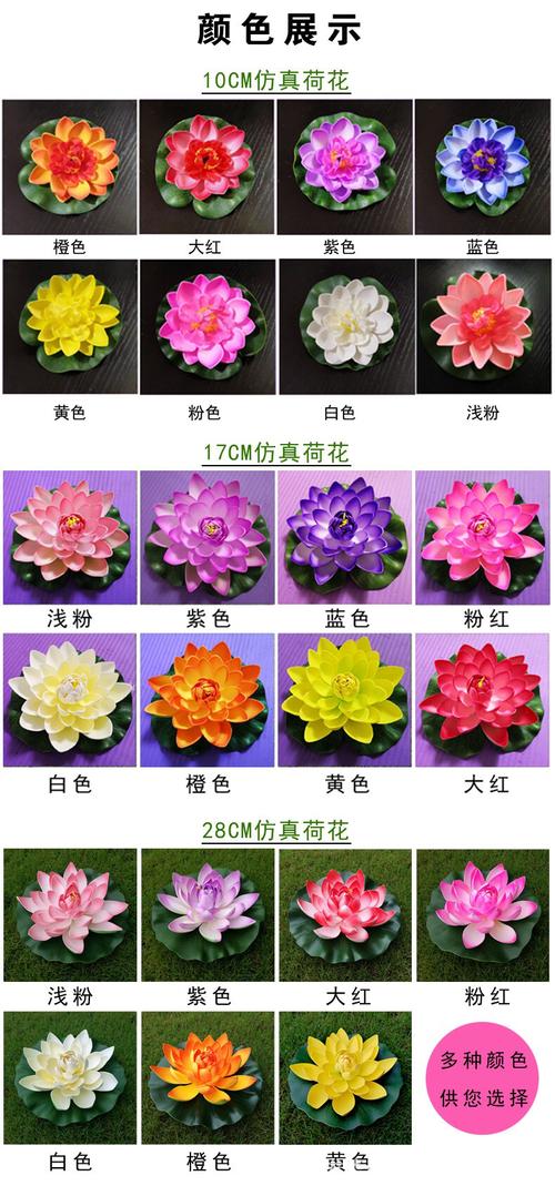 否       颜色         10cm苞心(颜色随机),10cm荷花