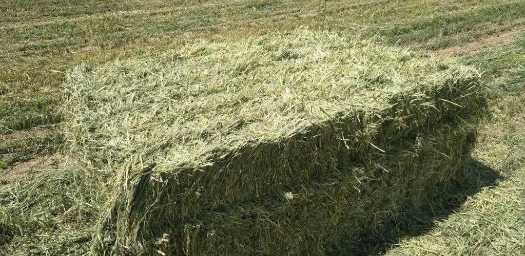 牧草的干燥方法