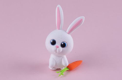 小白兔,胡萝卜,兔子