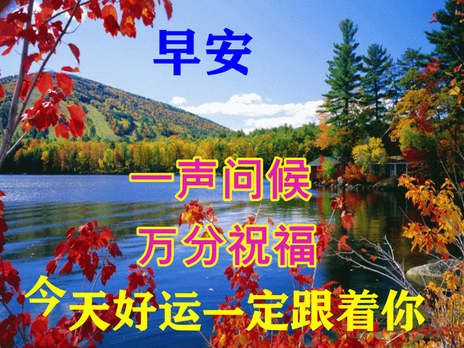 下午好动态表情图片大全问候语句子