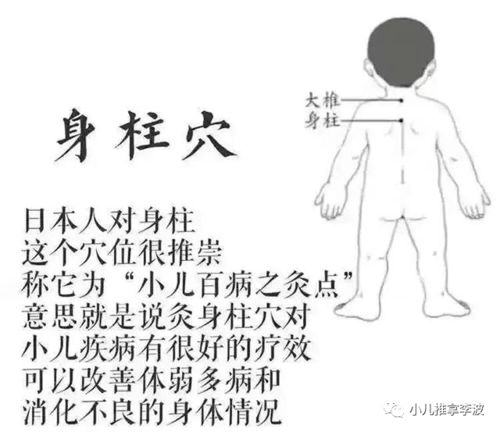 小儿推拿李波:孩子长高的黄金季,艾灸身柱穴强身健体助长高!