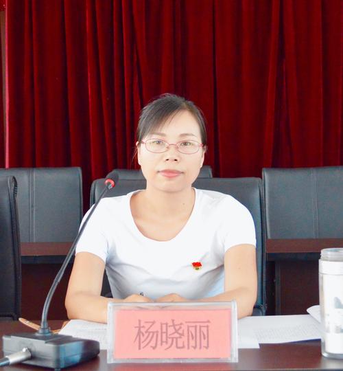 (镇党委书记杨晓丽同志作脱贫攻坚"夏季攻势"动员讲话)