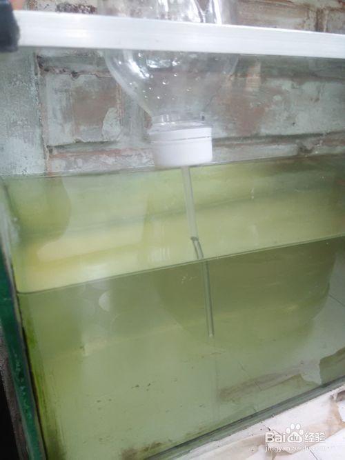 如何自制小型鱼缸吸水器