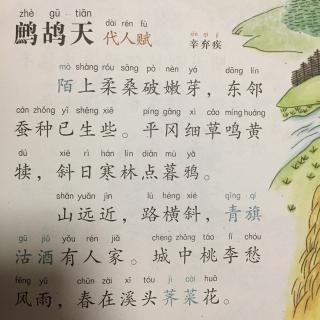 【宋词】314,《鹧鸪天·代人赋》辛弃疾