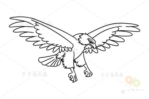 教你画老鹰简笔画