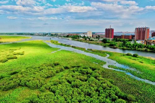 绿色的畅想——同江市三江口国家湿地公园印象