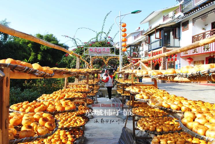 【2021行走】恭城柿子节