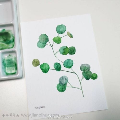 一组叶子水彩画_水彩画简笔画